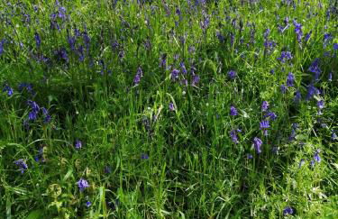 Lakes and Eden Valley. Thornhill Cabin - Foto 56