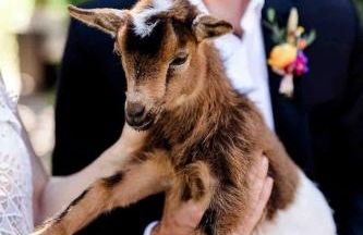 Log Casita Overlooking Pond and Waterfall near Taos, New Mexico - Foto 29