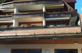 Abnoba Mons Design Apartment Lenzkirch - Photo 14