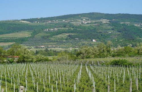 Agriturismo Valentina Cubi - Foto 51