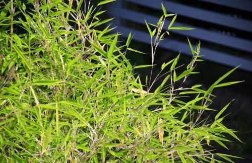 Mitten im Seenland und Spreewaldnah, schöner Garten - Foto 27