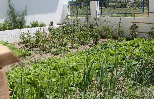 Nana's studios - Photo 34