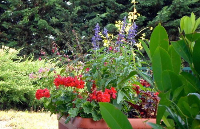 Appart'Hotel Les Acacias - Foto 23