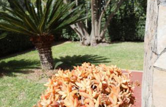 Villa con Giardino di 2000mq al Plemmirio - 400m dal Mare - Foto 51