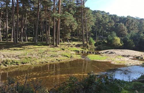 Mirador de San Matias - Foto 39