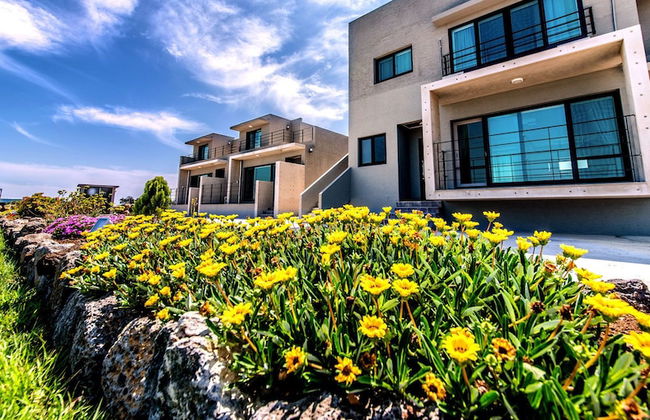 Boreum Pension - Foto 75