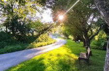 VillaMerceditas - Foto 21