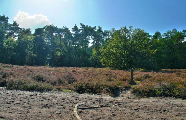 Holiday Home With Garden in Den Ham - Foto 30