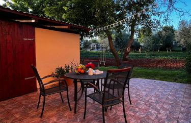 Apartman Mimi - Pula airport - Foto 2