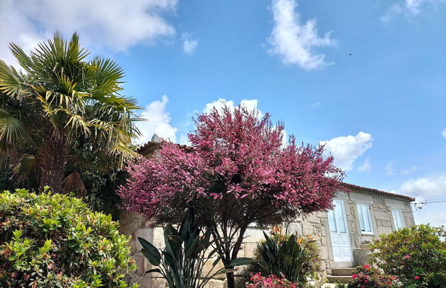 Quinta de Castelhão - Foto 52