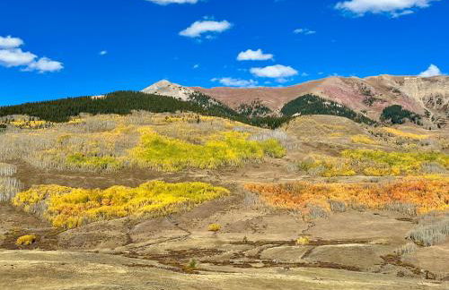 1BR Ski-In&Out - Top Floor - Mtn Views & Hot Tub - Foto 29