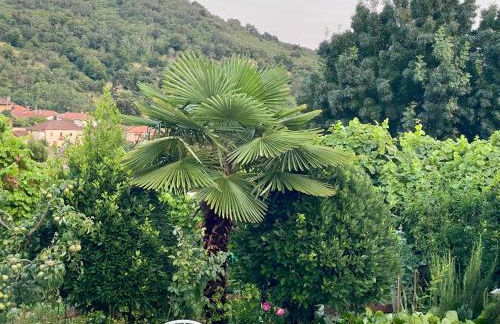 Quinta das flores - Foto 11