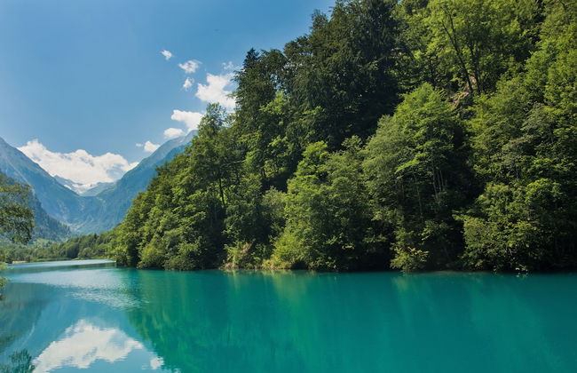 Art Apart Nomay - Foto 59