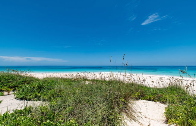 Bohemia Bungalow - Two 1 Bedroom Home - Foto 20