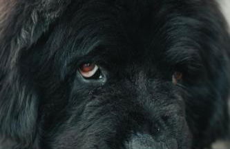 Casale Il Terranova - Foto 63