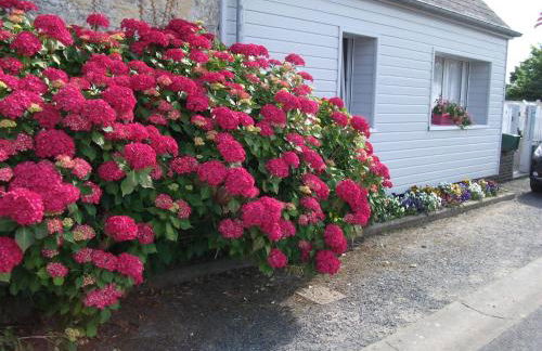 Les Hortensias 26 - Foto 1