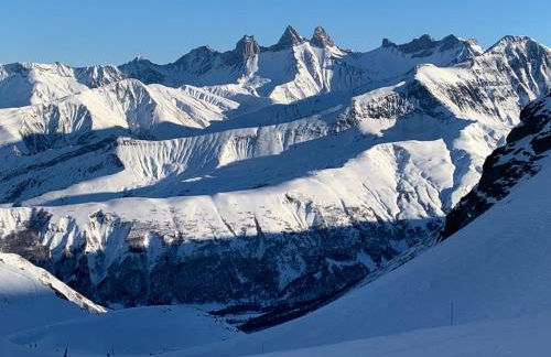 T1 La marmotte Saint Sorlin d'Arves - Photo 41