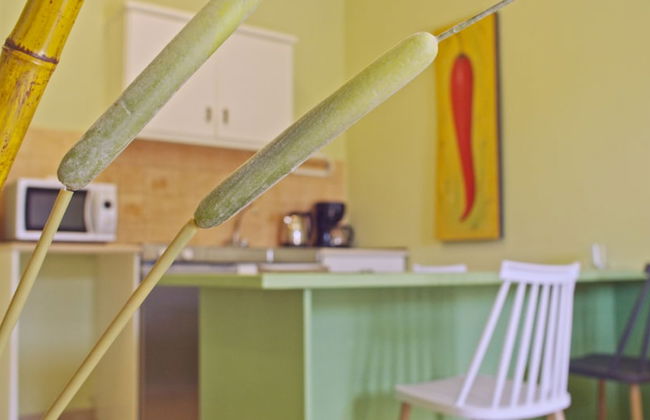 Water Lily - Foto 16