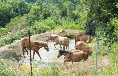 Apartment Paradiso Selvaggio-1 by Interhome - Foto 29