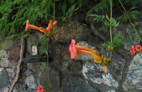 Redwood Castle 2 bed retreat - Foto 21