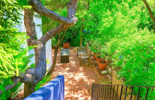 Enchanting Hollywood Hills Oasis with Tree-Top Views, Serene Outdoor Living Room, Zen Garden, Free Attached Garage, Sleeps 6, in LA's Most Desirable, Central, Serene Canyon Neighborhood, and Only 2 Minutes to Hollywood Boulevard - Foto 15
