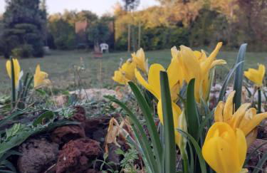 Charmante maison atypique - Foto 24