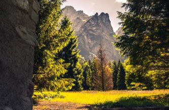 Baita Valon - Alpine Hideaway - Foto 94