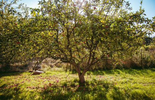 Przystanek Kozia Góra - Foto 59