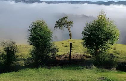 Refúgio Terra - SitioSantaRita - Nazare Paulista - Foto 6
