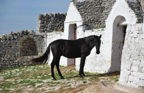 Masseria Tagliente - Foto 17