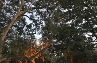 BEST location Quiet Cottage Pets Kitchen - Foto 32