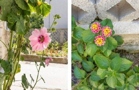 Apartments Mali Raj - Photo 47