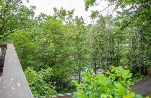 Charming Riverfront Cabin - Hot Tub Overlooking New River, Gas Fireplace - Foto 16