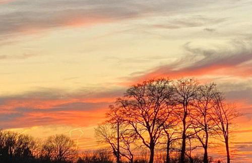 Le Cottage proche du Golf - Foto 67