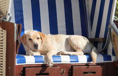 Ferienhaus Jagdhaus - Foto 27