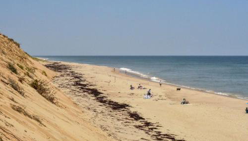 Classic Cape Great Location Dog Welcome - Foto 5