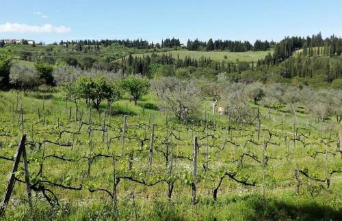 La Cantinetta di Barberino - Foto 4