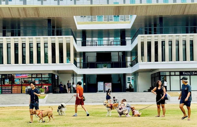 Pandora's Nest - Foto 53