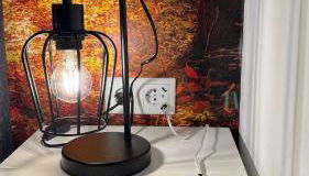 Teufelsberg Panorama mit Sauna und Bergblick - Foto 4