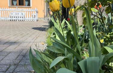 Cà del Fili - Foto 26