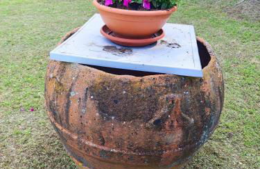 Casa Marina - Photo 38