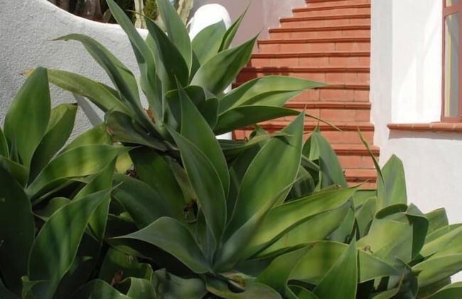 La Locanda Azzurra - Foto 17