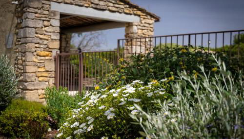 Mas des Cèdres - Photo 5, Garden