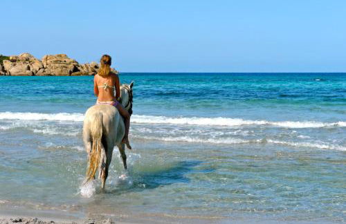 Résidence de Tourisme Mare e Macchia - Foto 26