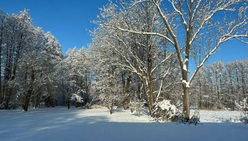 Modernes Gartenatelier am Mühlenfließ - Foto 3, Garden