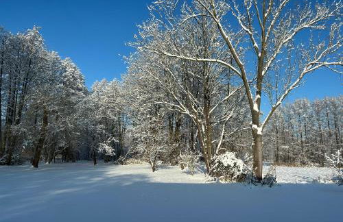 Modernes Gartenatelier am Mühlenfließ - Foto 3