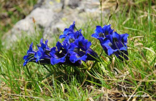 Apartment Gertrud - Foto 18