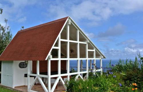 Lobo do Mar - Photo 16