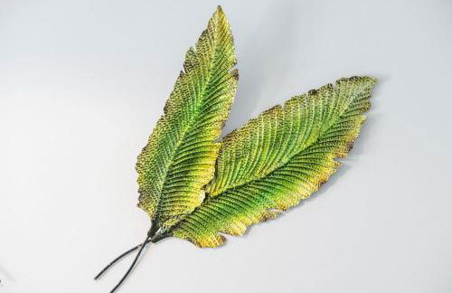 Apartamentos La Salud Canarias - Foto 12