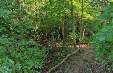 Nature Spa House | •Pool •Hot Tub •Sauna •Pvt Lake - Foto 42